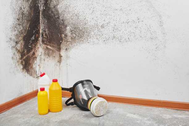 Water Damage Restoration in East Bronson, FL