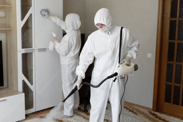 Best Black Mold Removal  in East Bronson, FL