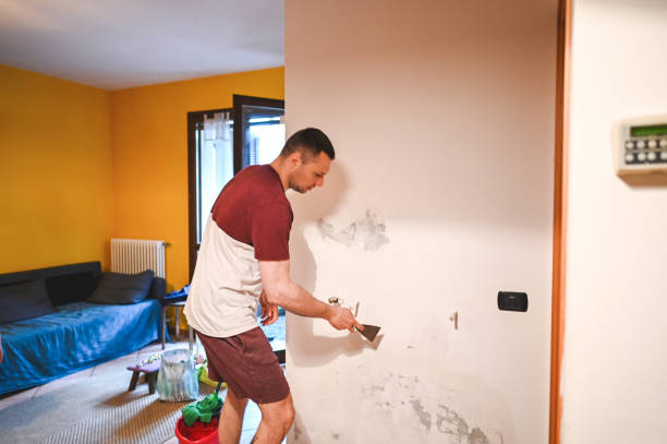Best Water Damage Restoration  in East Bronson, FL